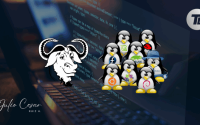 Descarga de archivos en Linux desde la línea de comandos (Terminal)